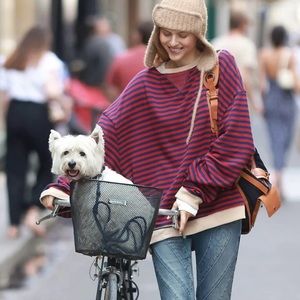 Free people oversize stripe crewneck
